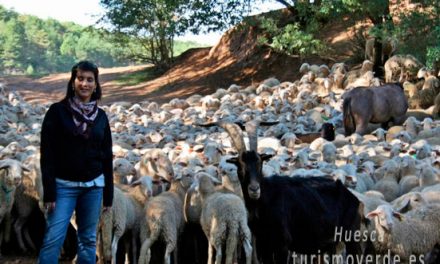 DESCUBRE LA VIDA DE LOS ANIMALES