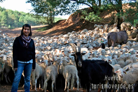 DESCUBRE LA VIDA DE LOS ANIMALES
